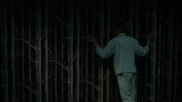 Backdrop to the movie "Holy Motors" #969673