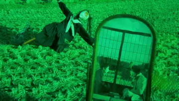Backdrop to the movie "Pastoral: To Die in the Country" #1035240