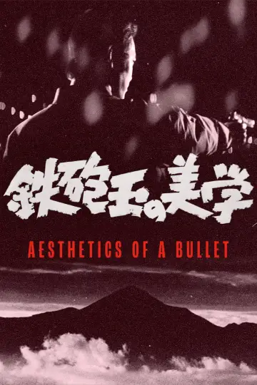 Aesthetics of a Bullet