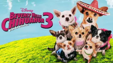 Watch film Beverly Hills Chihuahua 3: Viva la Fiesta! — Beverly Hills Chihuahua 3 - Viva La Fiesta! - Trailer