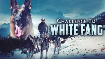 Backdrop to the movie "Challenge to White Fang" #1857881