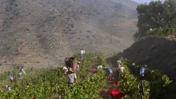 Backdrop to the movie "Abraham