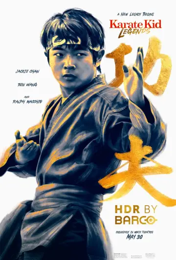 Poster to the movie "Untitled Karate Kid Movie" #554614