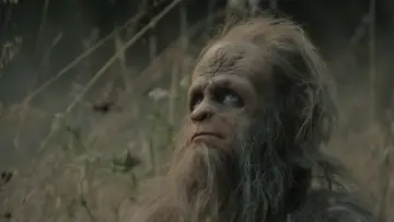 Backdrop to the movie "Sasquatch Sunset" #475932