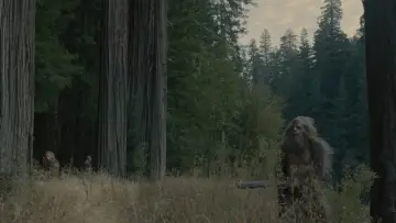 Backdrop to the movie "Sasquatch Sunset" #745831
