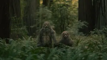 Backdrop to the movie "Sasquatch Sunset" #745842