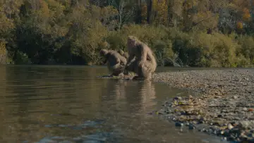 Backdrop to the movie "Sasquatch Sunset" #745843