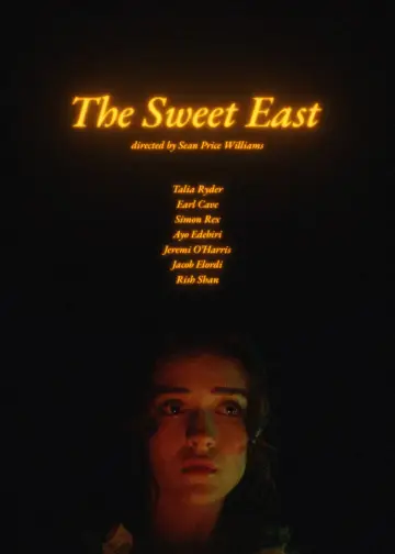 Poster to the movie "The Sweet East" #756475