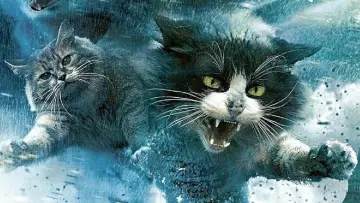 Backdrop to the movie "Catnado" #1786316
