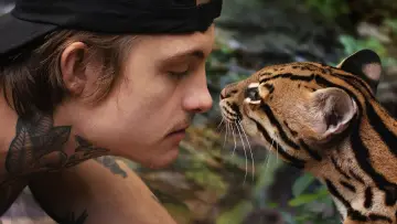 Backdrop to the movie "Wildcat" #1640846