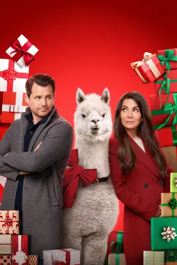 Poster to the movie "We Wish You a Married Christmas" #1866954