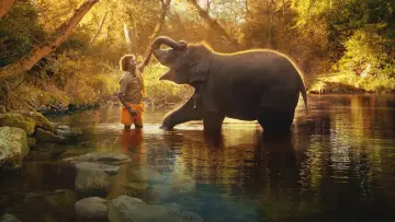 Backdrop to the movie "The Elephant Whisperers" #1851880