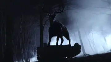 Backdrop to the movie "Bambi: The Reckoning" #586441
