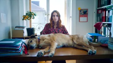 Backdrop to the movie "Dog on Trial" #591024