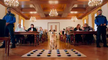 Backdrop to the movie "Dog on Trial" #591025