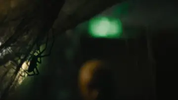 Backdrop to the movie "Infested" #190654