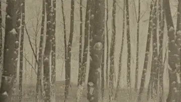 Backdrop to the movie "Film Dedicated to Water and Trees" #1280585