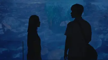 Backdrop to the movie "Boy in the Pool" #449055