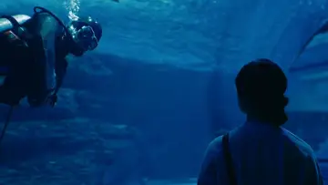 Backdrop to the movie "Boy in the Pool" #885233