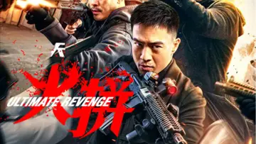 Ultimate Revenge Poster