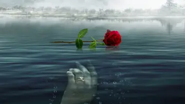 Backdrop to the movie "A Rose for Her Grave: The Randy Roth Story" #1624755