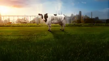 Backdrop to the movie "Food, Inc. 2" #476241
