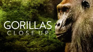Backdrop to the movie "Gorillas Close Up" #1663188
