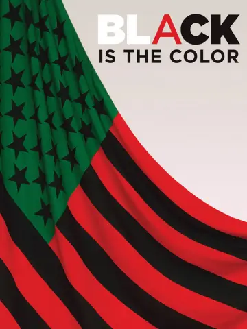Poster to the movie "Black Is the Color: African-American Artists and Segregation" #1616933