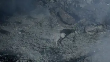 Backdrop to the movie "Winnie-the-Pooh: Blood and Honey 2" #646114
