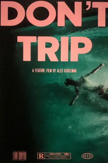 Poster to the movie "Don