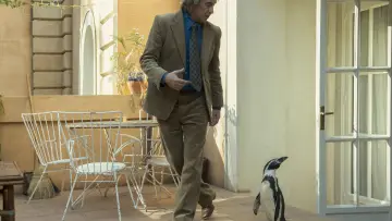 Backdrop to the movie "The Penguin Lessons" #583798