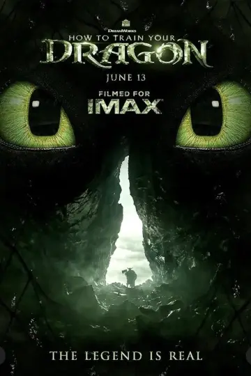 Poster to the movie "How to Train Your Dragon" #1854940