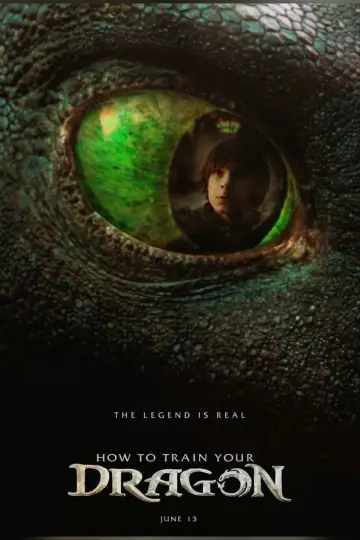 Poster to the movie "How to Train Your Dragon" #1854941