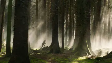 Backdrop to the movie "How to Train Your Dragon" #522909