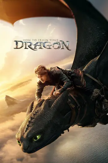 Poster to the movie "How to Train Your Dragon" #523122