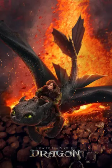 Poster to the movie "How to Train Your Dragon" #523170