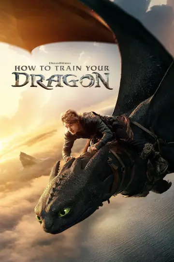 Poster to the movie "How to Train Your Dragon" #523187