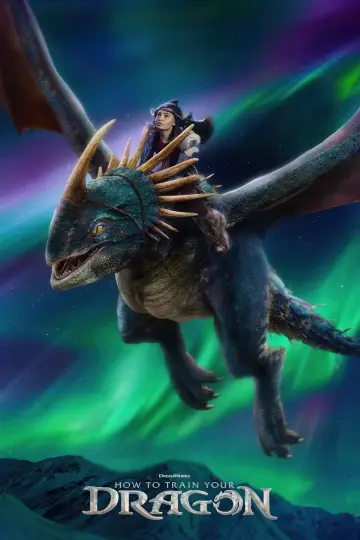 Poster to the movie "How to Train Your Dragon" #523192