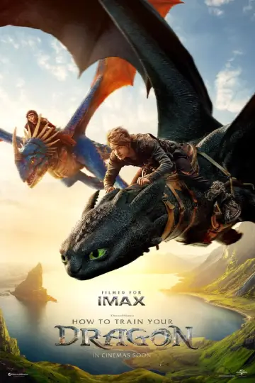 Poster to the movie "How to Train Your Dragon" #523248