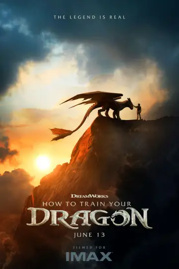 Poster to the movie "How to Train Your Dragon" #523260