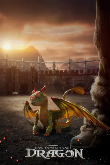 Poster to the movie "How to Train Your Dragon" #523292