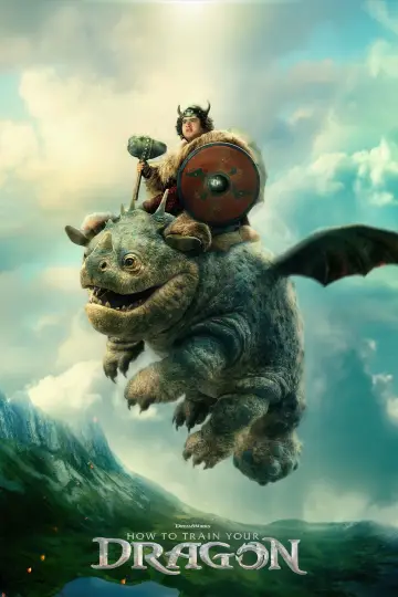 Poster to the movie "How to Train Your Dragon" #523297