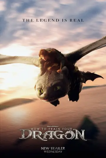 Poster to the movie "How to Train Your Dragon" #523386