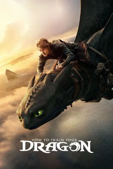 Poster to the movie "How to Train Your Dragon" #523388