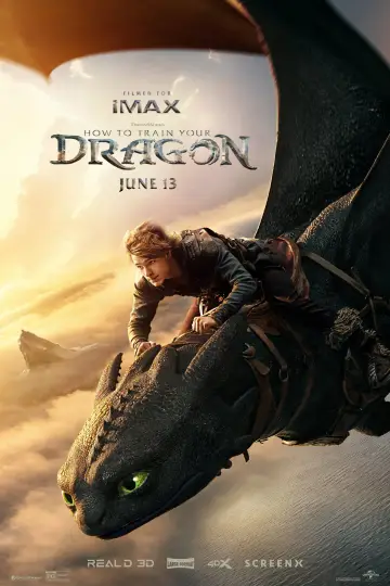 Poster to the movie "How to Train Your Dragon" #523454