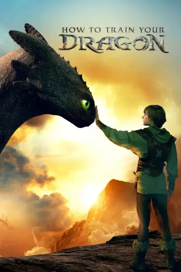 Poster to the movie "How to Train Your Dragon" #523503