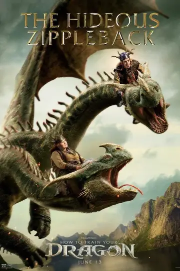 Poster to the movie "How to Train Your Dragon" #766045