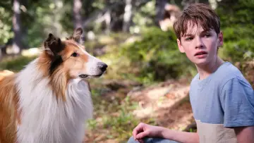 Backdrop to the movie "Lassie: A New Adventure" #479504
