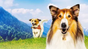 Backdrop to the movie "Lassie: A New Adventure" #760301
