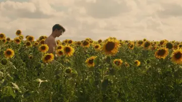 Backdrop to the movie "Sunflower" #820106